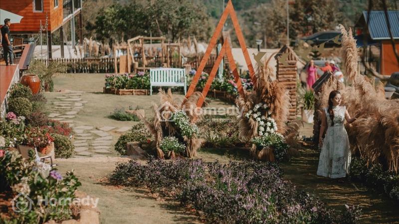 Làng Oa Bảo Lộc, cộng đồng nhà gỗ ven suối, chỉ 1,3 triệu/m2 sở hữu 1000m2, sổ hồng riêng - Ảnh 4