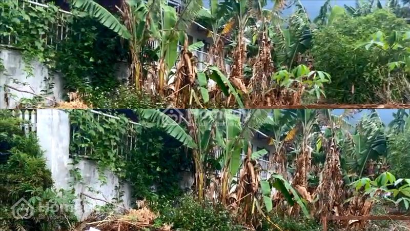 Bán Nhanh Lô Đất vị trí đẹp Xã Hiệp An, Đức Trọng, Lâm Đồng( gần chùa Quan Thế Âm ) - Ảnh 1