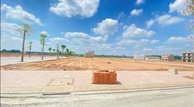 Bán Đất Nền 75m2 Đối Diện KCN Tân Bình, Bình Dương - Ảnh 13