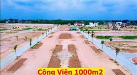Bán Đất Nền 75m2 Đối Diện KCN Tân Bình, Bình Dương - Ảnh 7
