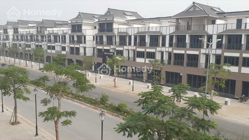 Cần Bán Và Cho Thuê Nhà Phố Thương Mại, Shophouse Mặt Tiền Đường 3/2 Hậu Nghĩa, Đức Hòa, Long An. - Ảnh 3