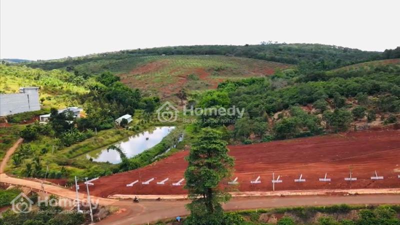 Cần tiền trả nợ bán nhanh lô đất thổ cư đường nhựa tại Thống Nhất, gần chợ, trường học - Ảnh 4