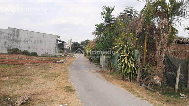 Cần bán đất mặt tiền đường bàu sen vào 30m ở đức lập hạ, gần thị trấn hậu nghĩa, đức hòa long an. - Ảnh 3