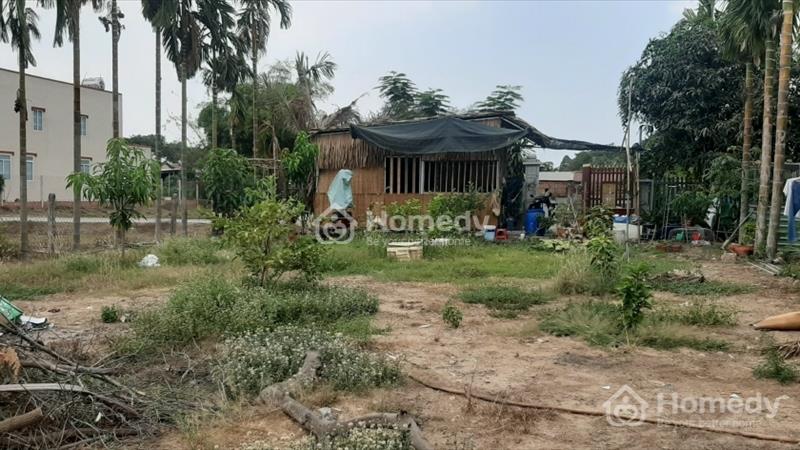 Cần bán đất mặt tiền đường bàu sen vào 30m ở đức lập hạ, gần thị trấn hậu nghĩa, đức hòa long an. - Ảnh 7