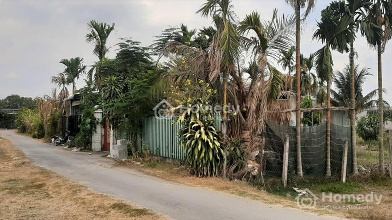 Cần bán đất mặt tiền đường bàu sen vào 30m ở đức lập hạ, gần thị trấn hậu nghĩa, đức hòa long an. - Ảnh 6