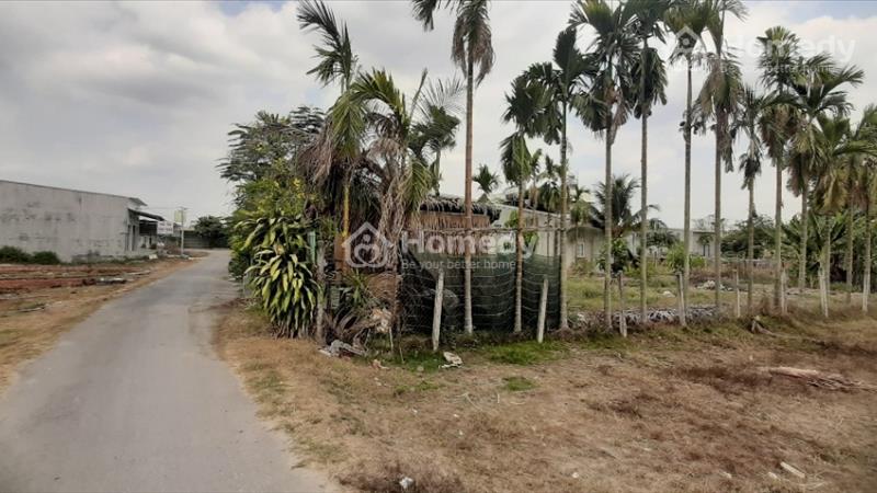 Cần bán đất mặt tiền đường bàu sen vào 30m ở đức lập hạ, gần thị trấn hậu nghĩa, đức hòa long an. - Ảnh 5