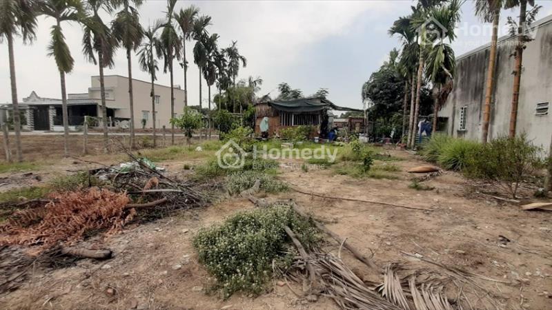 Cần bán đất mặt tiền đường bàu sen vào 30m ở đức lập hạ, gần thị trấn hậu nghĩa, đức hòa long an. - Ảnh 8