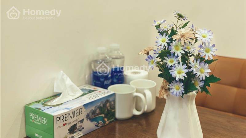 Phòng Studio sang xịn mịn có khoá vân tay đường Võ Thị Sáu gần chợ Tân Định Cv Lê Văn Tám - Ảnh 11