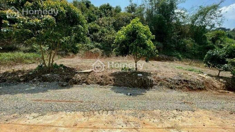 580 triệu lô đất thổ cư Nguyễn An Ninh - Tp. Bảo Lộc - Ảnh 2