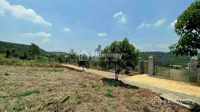 580 triệu lô đất thổ cư Nguyễn An Ninh - Tp. Bảo Lộc - Ảnh 3