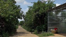 Bán lô 2 mặt tiền Tà Nung 300m2 sẵn TC, mặt tiền 13m đầu tư tốt - Ảnh 3