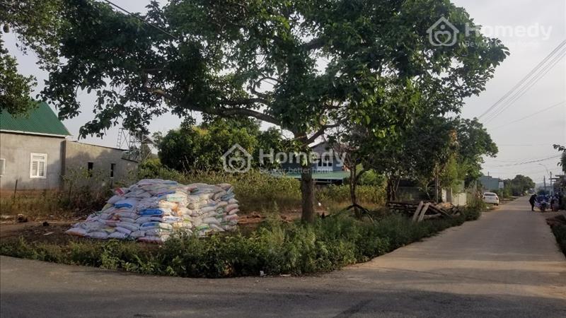 Bán lô 2 mặt tiền Tà Nung 300m2 sẵn TC, mặt tiền 13m đầu tư tốt - Ảnh 1