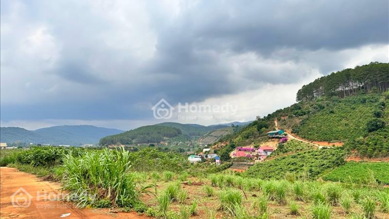 Bán lô MêLinh MT 10m sẵn TC cách DT725 350m,view siêu đẹp,giá cực rẻ - Ảnh 3