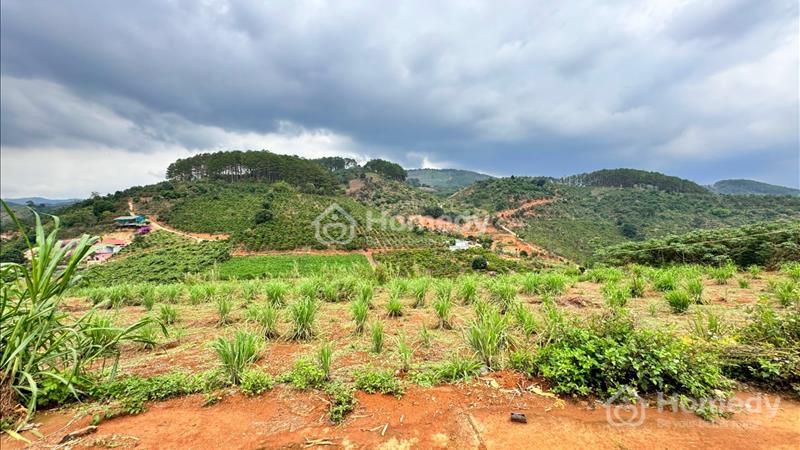 Bán lô MêLinh MT 10m sẵn TC cách DT725 350m,view siêu đẹp,giá cực rẻ - Ảnh 1