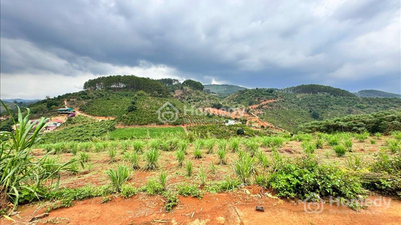 Bán lô MêLinh MT 10m sẵn TC cách DT725 350m,view siêu đẹp,giá cực rẻ - Ảnh 2