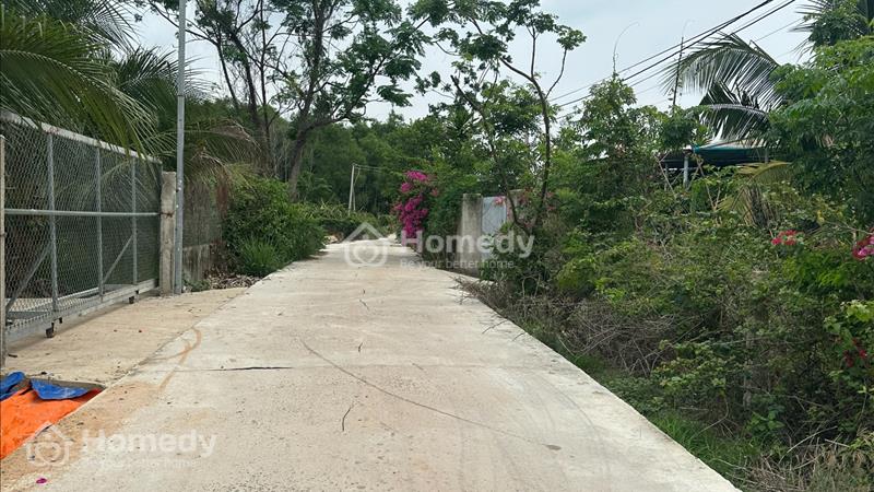 🔵5x28( 140,4m2), Thôn Hiệp Hoà, Tân Hải, LaGi Đường Ô Tô Khu Dân Cư Giá 800 triệu  - Ảnh 3