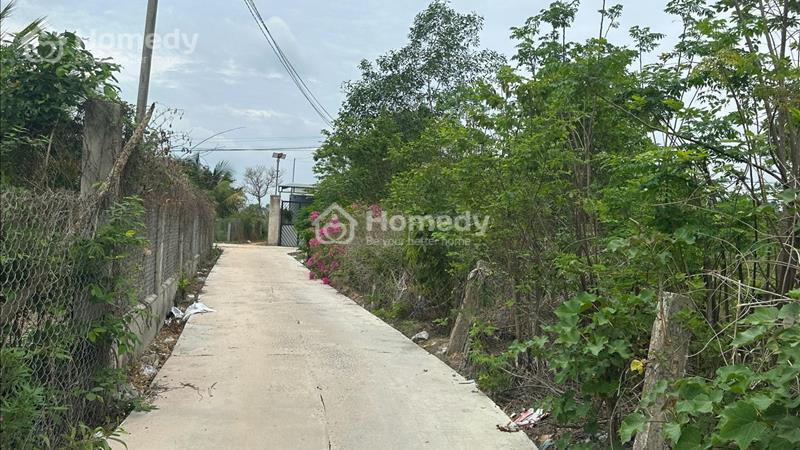 🔵5x28( 140,4m2), Thôn Hiệp Hoà, Tân Hải, LaGi Đường Ô Tô Khu Dân Cư Giá 800 triệu  - Ảnh 4