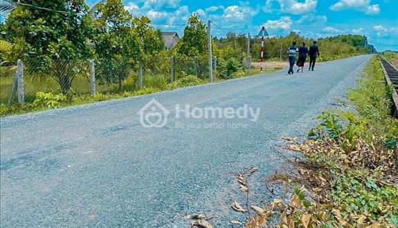 Đất vườn đã có sổ cần bán gấp 1000m2 giá xinh - Ảnh 1