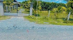 Đất vườn đã có sổ cần bán gấp 1000m2 giá xinh - Ảnh 3