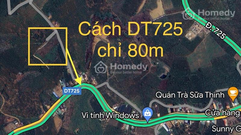 Mình chính chủ ngợp bán lỗ 499tr-580tr/ 200m2 giá bán 100%, sổ sẵn thổ cư sẵn - Ảnh 1