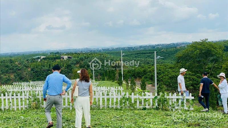 Mình chính chủ ngợp bán lỗ 499tr-580tr/ 200m2 giá bán 100%, sổ sẵn thổ cư sẵn - Ảnh 7