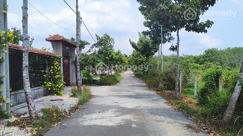 Chính chủ cần bán đất đẹp Củ Chi giá tốt gặp ưng ngay - Ảnh 1