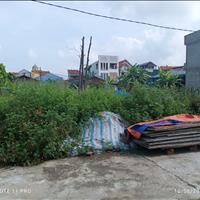 Bán đất Đông Hội, Đông Anh, Hà Nội