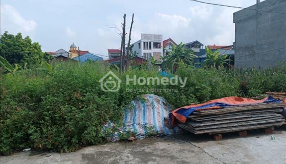 Bán đất Đông Hội, Đông Anh, Hà Nội - Ảnh 1