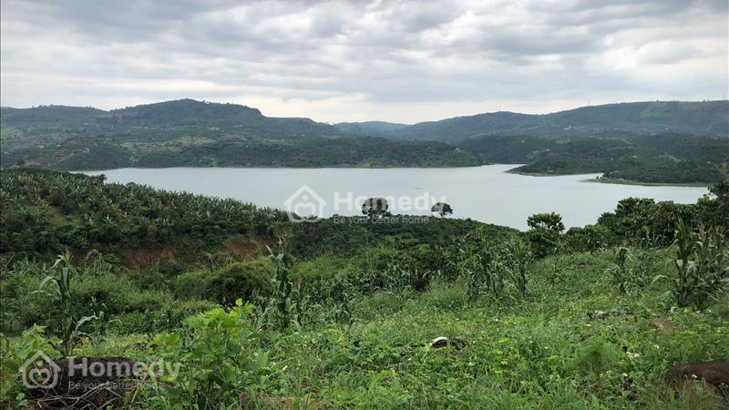 Chính Chủ bán 1 sào ngay Đà Lạt, giá còn thương lượng  - Ảnh 1