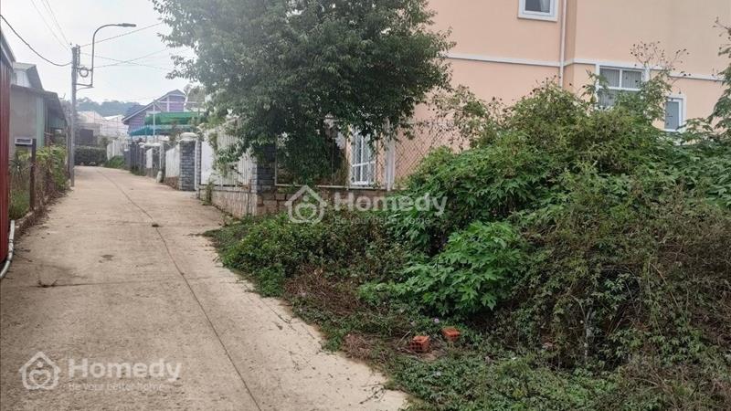 Sở Hữu Ngay Mảnh Đất Tuyệt Đẹp Tại Đà Lạt Chỉ Với 6.8 Tỷ  - Ảnh 2