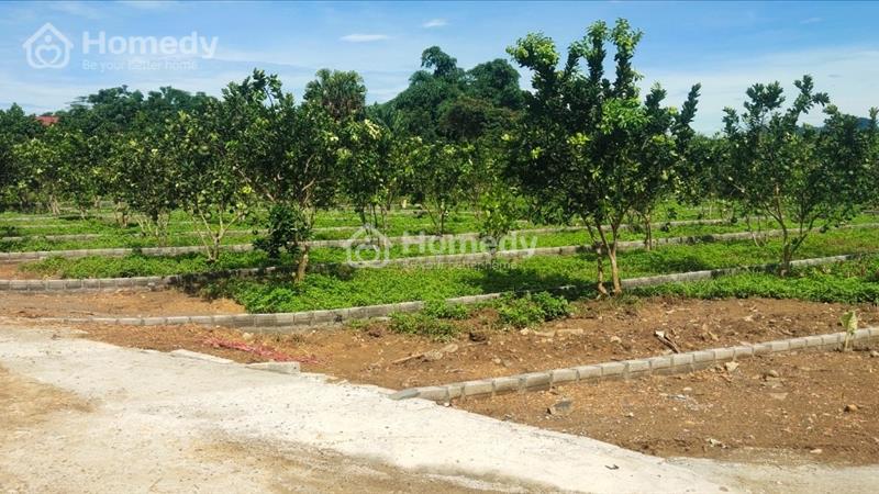 Chỉ195 triệu sở hữu lô đất thổ cư tại khu công nghiệp Bảo Hiệu - Yên Thủy - Hòa Bình - Ảnh 6
