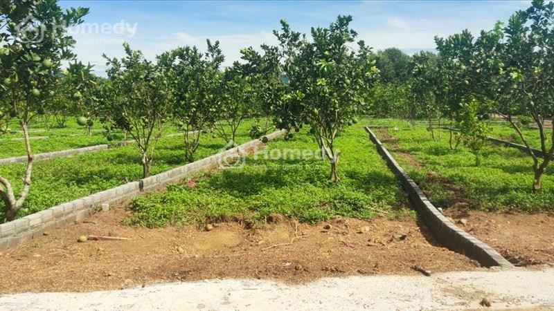 Chỉ với 150 triệu sở hữu ngay lô đất thổ cư tại KCN Bảo Hiệu, Yên Thủy, Hòa Bình - Ảnh 8