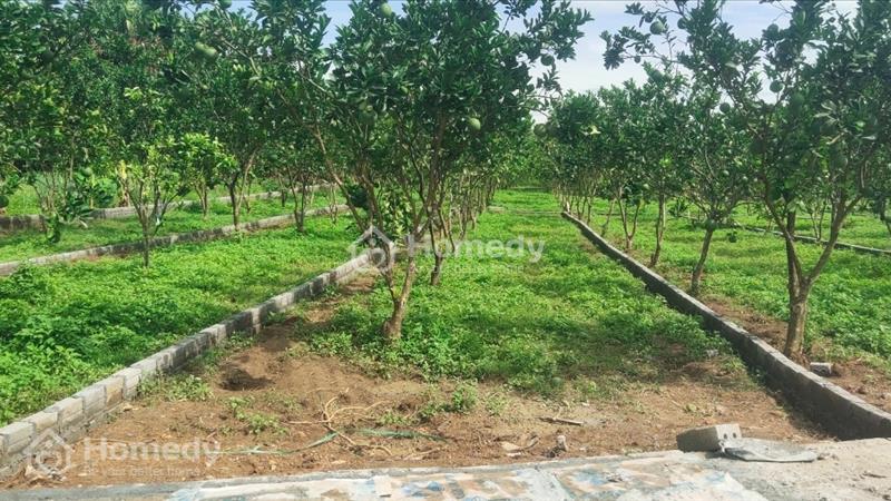 Chỉ với 150 triệu sở hữu ngay lô đất thổ cư tại KCN Bảo Hiệu, Yên Thủy, Hòa Bình - Ảnh 10