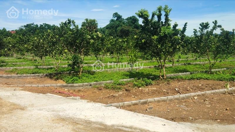Chỉ với 150 triệu sở hữu ngay lô đất thổ cư tại KCN Bảo Hiệu, Yên Thủy, Hòa Bình - Ảnh 12
