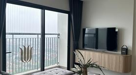 Cho thuê căn góc tầng trung 2PN 2WC full nội thất mới 100% tòa Imperia khu Vinhomes Smart City - Ảnh 10