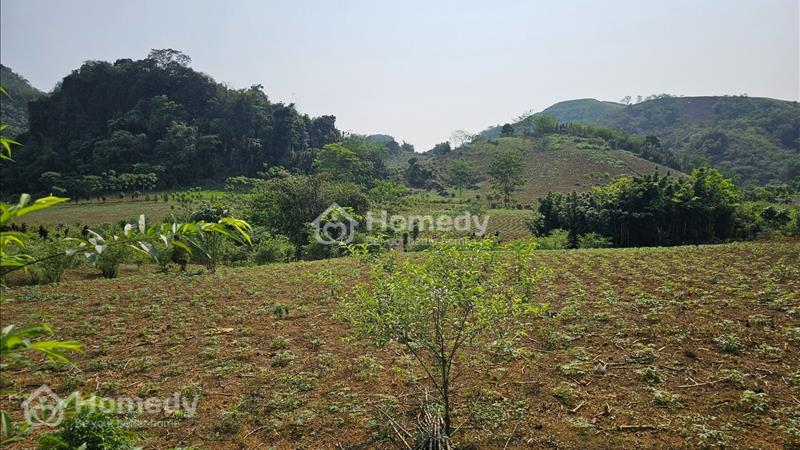 Chính Chủ bán lô đất nghỉ dưỡng 2500m2, mặt tiền dài 24m tại Xóm Kim Bắc, Xã Tú Sơn, Kim Bôi - Ảnh 1
