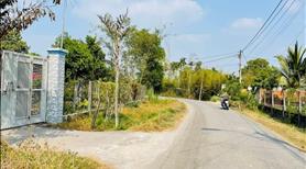 Chủ vườn sầu riêng cần bán gấp để chuyển sang đầu tư nên cần ván ở Bình Dương - Ảnh 4