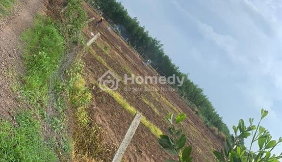 Đất có sẵn thổ cư ở Bình Dương. Chủ cần bángaps - Ảnh 1