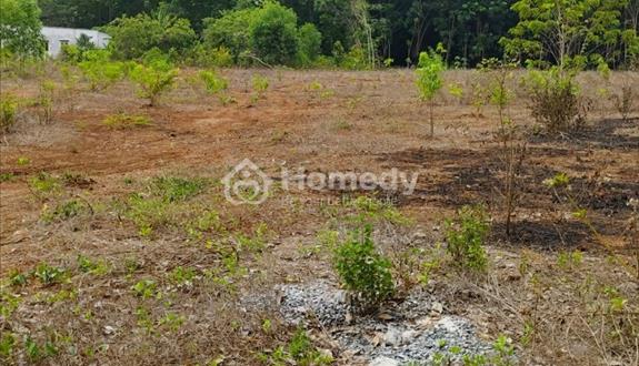 Đất ở Bình Dương cần tìm người mua nhanh chings - Ảnh 1