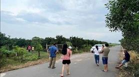Bán vườn vì chủ kẹt tiền cần bán gấp giá có thoả thuận - Ảnh 4