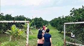 Bán vườn vì chủ kẹt tiền cần bán gấp giá có thoả thuận - Ảnh 3