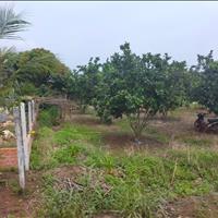 Đất cần bán cơ hội đầu tư cao. Đất ở Bình Dương