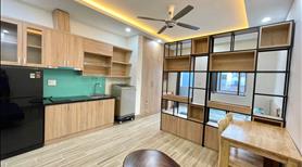 Căn hộ 40m2 ban công tách bếp ngay Oriental, gần sân bay TSN - Ảnh 3