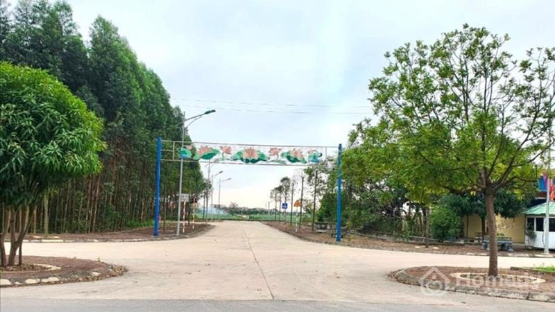 Kẹt tiền cần bán gấp mảnh đất mặt tiền đường Nguyễn Xiển Quận 9 160m² giá siêu hời - Ảnh 2