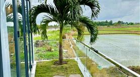 Nhà vườn Bà Rịa Vũng Tàu - Giá 2,9 tỷ - Bàn giao trọn gói nhà hoàn thiện kèm sân vườn - Ảnh 5