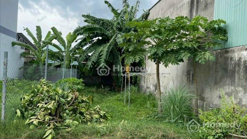 Bán gấp lô đất 620tr 5x16 Phước Hiệp Củ Chi, Quốc Lộ 22 - Ảnh 1