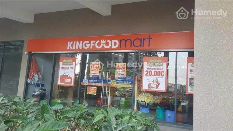 Bán Shophouse thương mại, mua trực tiếp CĐT, chiết khấu lên đến 10% - Ảnh 3