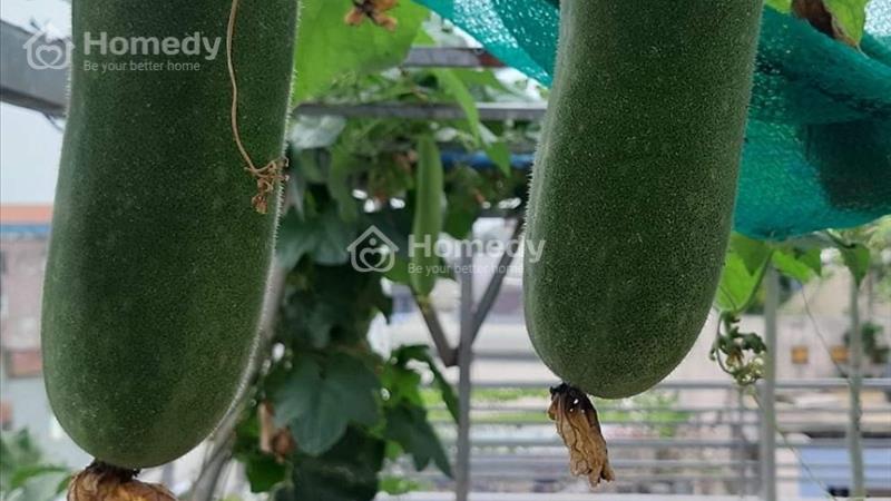 Hoa Hồng Môi Giới , Nhà 4 Tấm Phường 15, Tân Bình - Ảnh 13