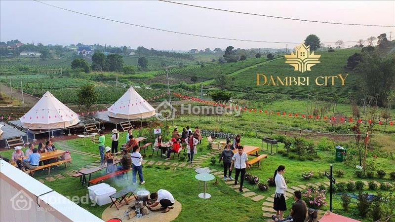 Bán Đất nền trong. khu homestay cạnh suối gần nút thắt cao tốc, gần du lịch thác Đambri giá tốt - Ảnh 3