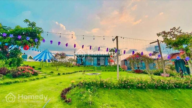Bán Đất nền trong. khu homestay cạnh suối gần nút thắt cao tốc, gần du lịch thác Đambri giá tốt - Ảnh 5